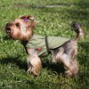 Охлаждающая попона для маленьких собак OSSO Fashion - Димон-Камон, одежда для собак