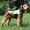 Охлаждающая попона для больших собак OSSO Fashion - Димон-Камон, одежда для собак