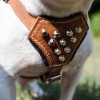Small. Кожаная шлейка с латунными усеченными конусами для маленьких собак - Димон-Камон, одежда для собак