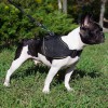 Medium. Многофункциональная нейлоновая шлейка для собаки, ForDogTrainers - Димон-Камон, одежда для собак