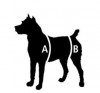 Шлейка для маленьких пожилых, травмированных собак, задние и передние ноги, CareLift 1619-4 - Димон-Камон, одежда для собак