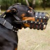 Доберман. Намордник кожаный с подкладом из перчаточной кожи для Добермана - Димон-Камон, одежда для собак