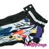 Черно-серый дождевик для такс девочек - Димон-Камон, одежда для собак