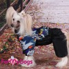 Черно-серый дождевик для маленьких собак девочек - Димон-Камон, одежда для собак