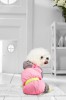 Дождевик для маленьких собак - Димон-Камон, одежда для собак