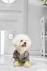 Дождевик для маленьких собак - Димон-Камон, одежда для собак