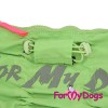 Дождевик для таксы мальчика в зеленом цвете, неон - Димон-Камон, одежда для собак