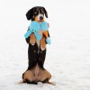 «Заяц» с пищалкой, игрушка для собак  OSSO Toys  - Димон-Камон, одежда для собак