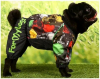 Дождевик для собак для мальчиков типа мопса, французского бульдога - Димон-Камон, одежда для собак