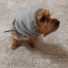 Капор для собак, велсофт - Димон-Камон, одежда для собак