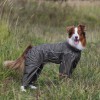 37 см по спинке. Универсальный легкий комбинезон-дождевик для собаки, OSSO Fashion  - Димон-Камон, одежда для собак