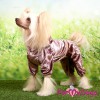 Коричневый велюровый костюмчик на собаку небольшого размера, ForMyDogs - Димон-Камон, одежда для собак