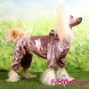 Коричневый велюровый костюмчик на собаку небольшого размера, ForMyDogs - Димон-Камон, одежда для собак