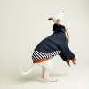 Красивая толстовка для собак разновидности борзых - Димон-Камон, одежда для собак