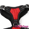 Красная шлейка для собак небольших размеров - Димон-Камон, одежда для собак
