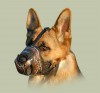 Кожаный намордник для собаки "Колючая проволока", ForDogTrain - Димон-Камон, одежда для собак