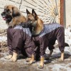 60 см по спинке. Универсальный легкий комбинезон-дождевик для собаки, OSSO Fashion  - Димон-Камон, одежда для собак