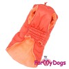 Попона оранжевая, для крупных и красивых собак, унисекс - Димон-Камон, одежда для собак