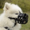 Самоедская собака. Кожаный намордник для Самоедской собаки, Самоеда - Димон-Камон, одежда для собак