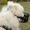 Самоедская собака. Кожаный намордник для Самоедской собаки, Самоеда - Димон-Камон, одежда для собак