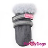 Серые сапожки для собак, на зиму, ForMyDogs - Димон-Камон, одежда для собак
