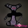 Шлейка черно-серого цвета для небольших собак - Димон-Камон, одежда для собак
