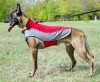 Large. Утепленная нейлоновая накидка для собаки, ForDogTrainers - Димон-Камон, одежда для собак