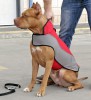 4X-large. Утепленная нейлоновая накидка для собаки, ForDogTrainers - Димон-Камон, одежда для собак