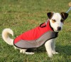 Medium. Утепленная нейлоновая накидка для собаки, ForDogTrainers - Димон-Камон, одежда для собак