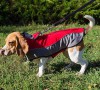 3X-large. Утепленная нейлоновая накидка для собаки, ForDogTrainers - Димон-Камон, одежда для собак