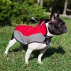 Medium. Утепленная нейлоновая накидка для собаки, ForDogTrainers - Димон-Камон, одежда для собак