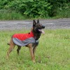 Small. Утепленная нейлоновая накидка для собаки, ForDogTrainers - Димон-Камон, одежда для собак