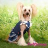 Синее платье, джинсовое для маленьких собак - Димон-Камон, одежда для собак