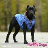 Синяя куртка для больших собак - Димон-Камон, одежда для собак