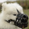 Самоедская собака. Намордник кожаный для Самоедской собаки, Самоеда, подклад из перчаточной кожи - Димон-Камон, одежда для собак