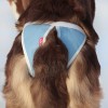 Трусы для небольших собак с обхватом талии 29-48 см, ABSORB OSSO Fashion - Димон-Камон, одежда для собак