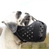 Универсальный, специальный, ударный намордник для служебных собак, ForDogTrain - Димон-Камон, одежда для собак
