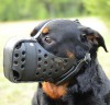 Универсальный, специальный, ударный намордник для служебных собак, ForDogTrain - Димон-Камон, одежда для собак