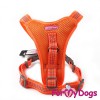 Удобная шлейка для прогулок с собакой, оранжевого цвета - Димон-Камон, одежда для собак