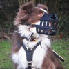 Универсальный кожаный намордник сетка для собаки, ForDogTrain - Димон-Камон, одежда для собак