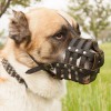 Универсальный намордник - сетка кожаный для собаки подклад из перчаточной кожи, ForDogTrainers - Димон-Камон, одежда для собак