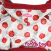 Велюровый красный костюмчик для маленьких собак - Димон-Камон, одежда для собак