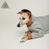 Комбинезон для собак зимний серый с горчичным DISCOVERY  - Димон-Камон, одежда для собак