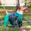 Зимний комбинезон зеленого цвета для средних собак девочек - Димон-Камон, одежда для собак