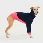 Толстовка для собак темно-синяя с розовым TANKER BASE WINTER ROSE  - Димон-Камон, одежда для собак
