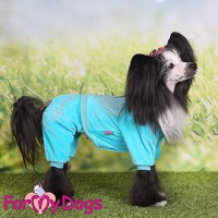 Велюровый бирюзовый костюм для маленьких собак - Димон-Камон, одежда для собак