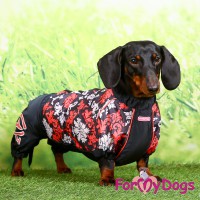Черно-красный дождевик для такс девочек, ForMyDogs - Димон-Камон, одежда для собак