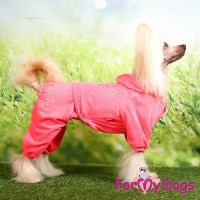 Розовый велюровый костюмчик для миниатюрных собак - Димон-Камон, одежда для собак