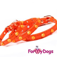 Ошейник для собак, оранжевого цвета, ForMyDogs - Димон-Камон, одежда для собак