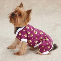 Пижама из ХБ ткани для маленькой собаки, East side collection - Димон-Камон, одежда для собак